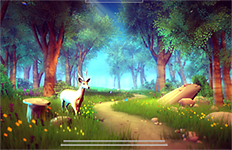 ButterflyPath1_largeThumb